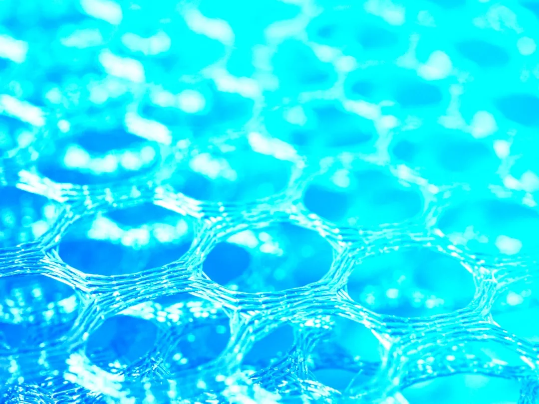 2025年上海霖蒿服装女装批发加盟政策调整与市场趋势解读