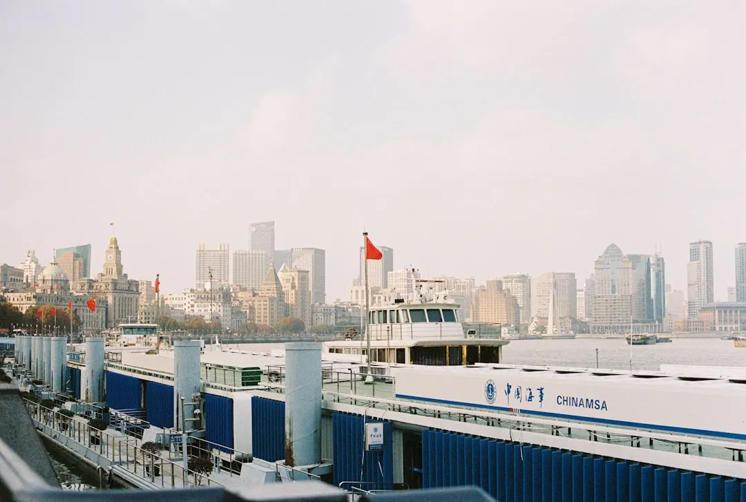 2024秋冬女装批发市场趋势：霖蒿信息网解析热门设计与采购策略