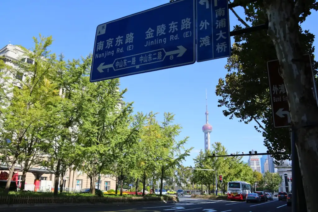 上海霖蒿女装批发供应链优化方案及案例分享